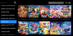 iron-iptv-4